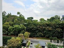 19 Nassim (D10), Apartment #497517141